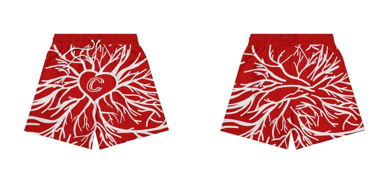 Mesh shorts portfolio image 26